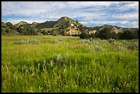 Meadow and badlands, early morning, Elkhorn Ranch Unit. Theodore Roosevelt National Park ( color)