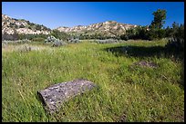 Roosevelt Elkhorn Ranch site with foundation stone. Theodore Roosevelt National Park, North Dakota, USA. (color)