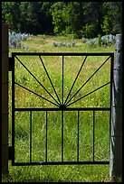 Entrance gate to Elkhorn Ranch homestead. Theodore Roosevelt National Park, North Dakota, USA. (color)