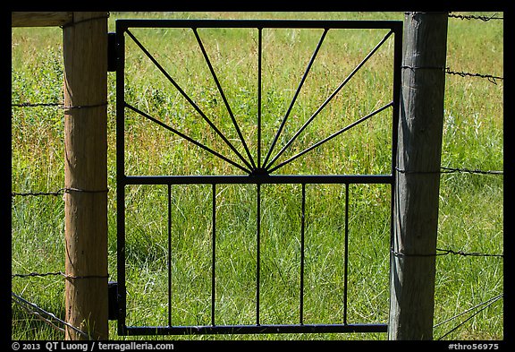 Detail of motif of gate to Elkhorn Ranch. Theodore Roosevelt National Park (color)