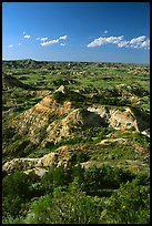 Painted Canyon, late afternoon. Theodore Roosevelt National Park ( color)