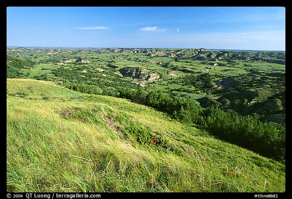 Prairie and badlands from Buck Hill, early morning. Theodore Roosevelt National Park (color)