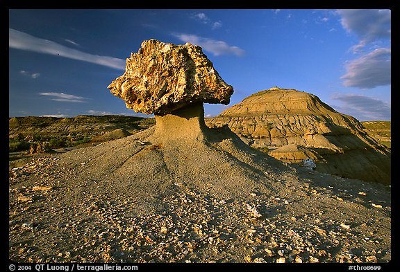 Pedestal petrified log and badlands, late afternoon. Theodore Roosevelt  National Park (color)