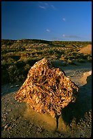 Colorful Petrified stump. Theodore Roosevelt National Park ( color)