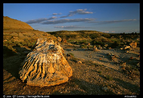 Big Petrified stump and badlands, late afternoon. Theodore Roosevelt National Park, North Dakota, USA.
