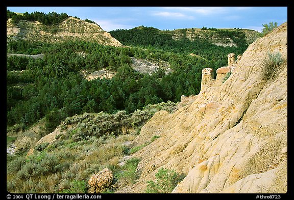 Rain Pillars, Caprock coulee trail, North Unit. Theodore Roosevelt National Park, North Dakota, USA.