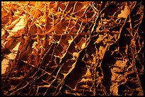 The cave unique boxwork, a calcite formation. Wind Cave National Park, South Dakota, USA. (color)