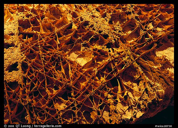 Boxwork ceilling cave formation. Wind Cave  National Park (color)