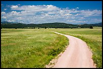 Gravel road through Red Valley. Wind Cave National Park, South Dakota, USA. (color)