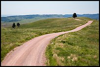 Unpaved road. Wind Cave National Park, South Dakota, USA. (color)