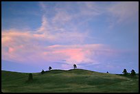 Hills, sunset. Wind Cave National Park ( color)
