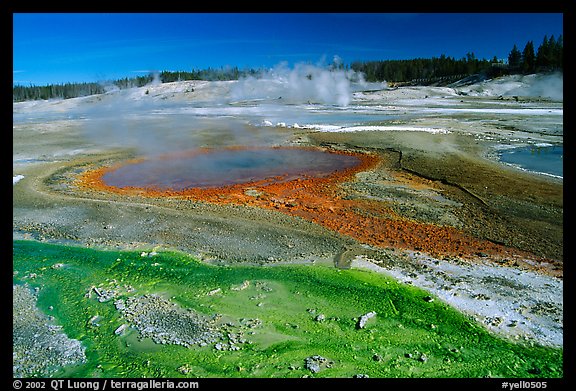Green and red algaes in Norris geyser basin. Yellowstone National Park, Wyoming, USA.