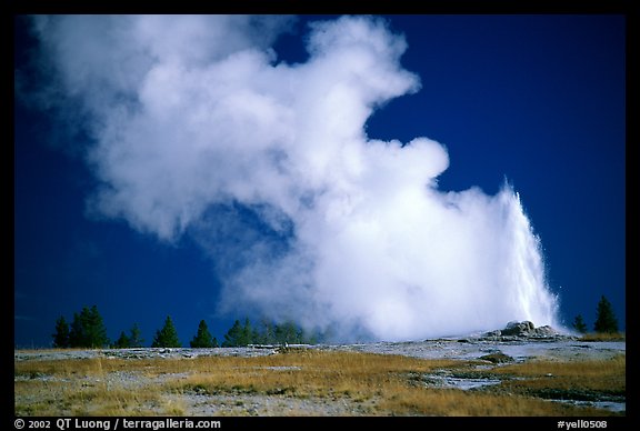 Steam clouds drifting from Old Faithfull geyser. Yellowstone National Park, Wyoming, USA.