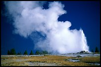 Steam clouds drifting from Old Faithfull geyser. Yellowstone National Park ( color)
