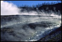 Steam and hill, Midway geyser basin. Yellowstone National Park, Wyoming, USA. (color)