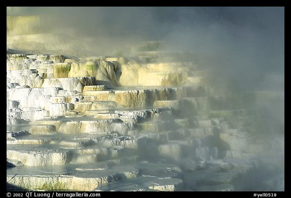 Minerva travertine terraces at Mammoth Hot Springs. Yellowstone National Park