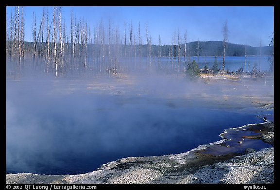 Pools, West Thumb geyser basin. Yellowstone National Park (color)