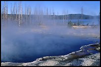 Pools, West Thumb geyser basin. Yellowstone National Park, Wyoming, USA.