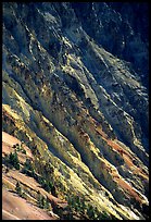Canyon slopes, Grand Canyon of Yellowstone. Yellowstone National Park, Wyoming, USA. (color)
