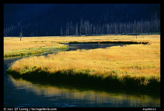 Yellowstone River and meadow in fall. Yellowstone National Park (color)