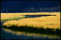 Yellowstone River and meadow in fall. Yellowstone National Park, Wyoming, USA. (color)