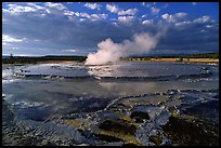 Great Fountain geyser. Yellowstone National Park ( color)