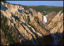 Wide view of Grand Canyon of the Yellowstone, morning. Yellowstone National Park, Wyoming, USA.