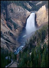 Canyon and Lower Falls of the Yellowstone river. Yellowstone National Park ( color)