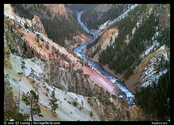 River and Walls of the Grand Canyon of Yellowstone, dusk. Yellowstone National Park, Wyoming, USA.