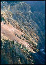 Slopes of Grand Canyon of the Yellowstone. Yellowstone National Park ( color)