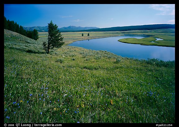 Meadow and bend of the Yellowstone River, Hayden Valley. Yellowstone National Park (color)