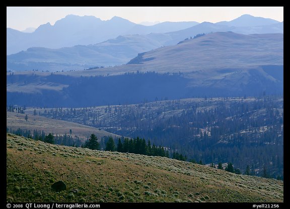Absaroka Range from Dunraven Pass, early morning. Yellowstone National Park, Wyoming, USA.