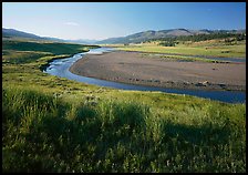 Meadow and river in wide Lamar Valley. Yellowstone National Park ( color)