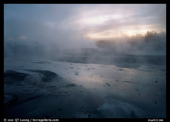 Steam in Norris Geyser Basin at dawn. Yellowstone National Park (color)