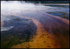 Great prismatic springs, Midway geyser basin. Yellowstone National Park ( color)