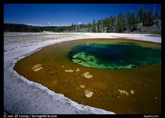 Beauty Pool. Yellowstone National Park, Wyoming, USA.