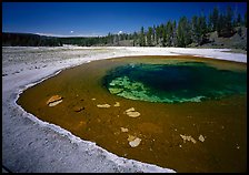 Beauty Pool. Yellowstone National Park, Wyoming, USA.