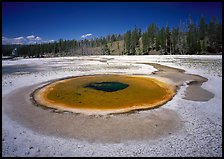 Thermal pool, upper Geyser Basin. Yellowstone National Park, Wyoming, USA.