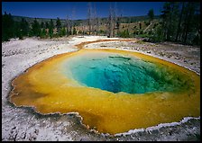 Raibow colored Morning Glory Pool. Yellowstone National Park, Wyoming, USA.