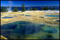 West Thumb Geyser Basin. Yellowstone National Park, Wyoming, USA. (color)