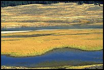 Yellowstone River and meadow in fall. Yellowstone National Park, Wyoming, USA. (color)