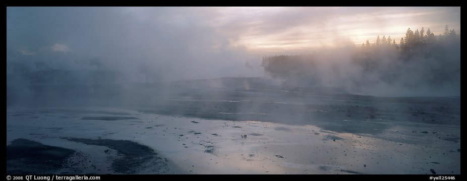 Steam rising in thermal geyser basin a dawn. Yellowstone National Park, Wyoming, USA.