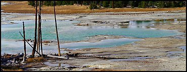 Thermal pond and dead trees. Yellowstone National Park (Panoramic color)