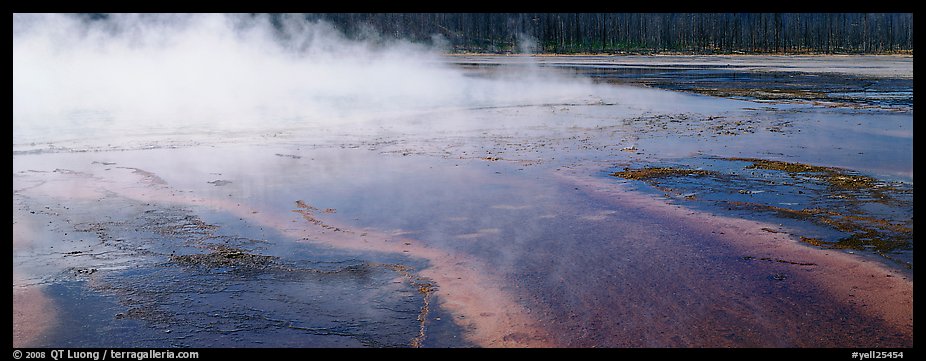 Steam rising from multi-colored thermal springs. Yellowstone National Park, Wyoming, USA.