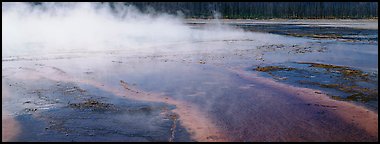 Steam rising from multi-colored thermal springs. Yellowstone National Park (Panoramic color)