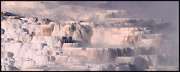 Travertine terraces and steam. Yellowstone National Park (Panoramic color)