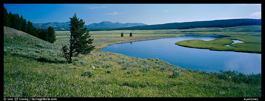 River and verdant meadows. Yellowstone National Park (color)