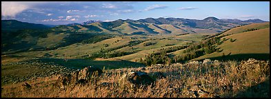 Hills in summer. Yellowstone National Park (Panoramic color)