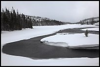 Lewis River valley in winter. Yellowstone National Park ( color)