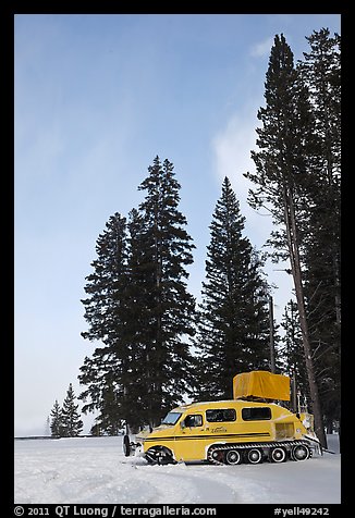 Snowcoach and trees. Yellowstone National Park (color)
